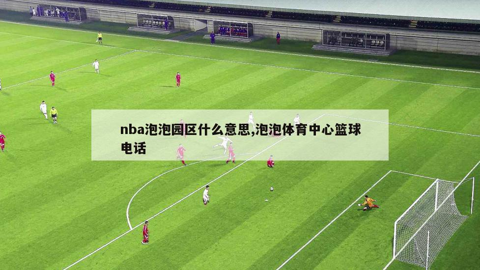 nba泡泡园区什么意思,泡泡体育中心篮球电话