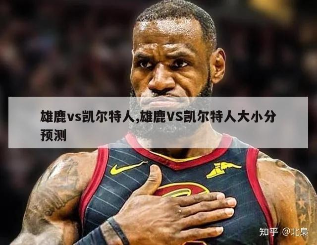 雄鹿vs凯尔特人,雄鹿VS凯尔特人大小分预测