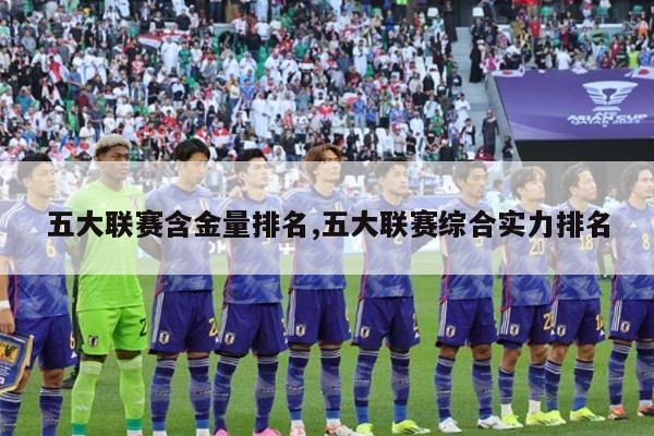 五大联赛含金量排名,五大联赛综合实力排名