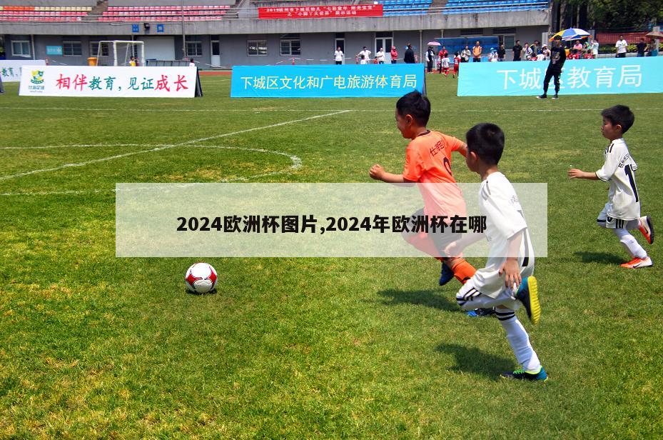 2024欧洲杯图片,2024年欧洲杯在哪