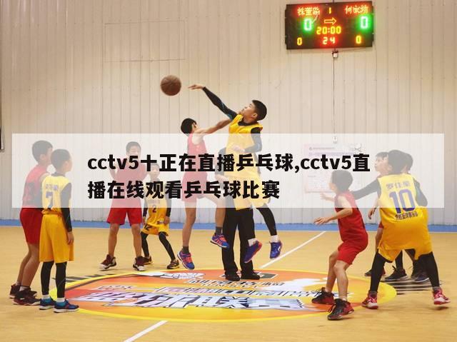 cctv5十正在直播乒乓球,cctv5直播在线观看乒乓球比赛