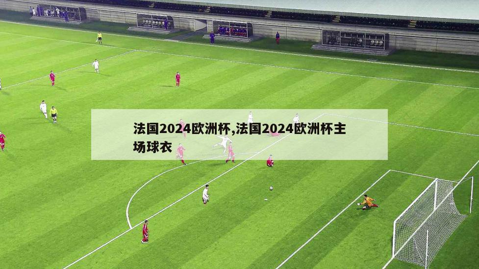 法国2024欧洲杯,法国2024欧洲杯主场球衣