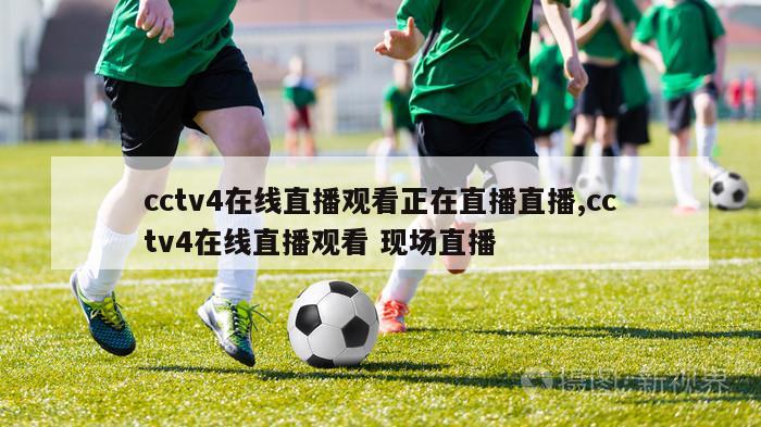 cctv4在线直播观看正在直播直播,cctv4在线直播观看 现场直播